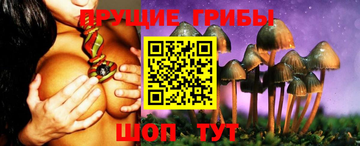 Галлюциногенные грибы Psilocybine cubensis  Вход с VPN  Ливны 